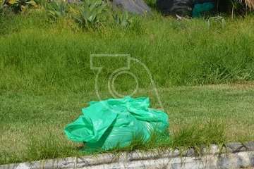 Intervención en la pradera pública de césped de Las Remudas (Foto TA)